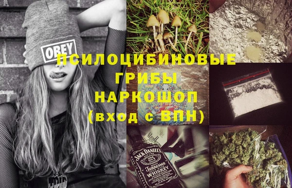 дмт Алзамай