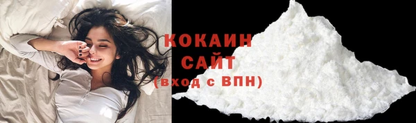 гидра Ельня