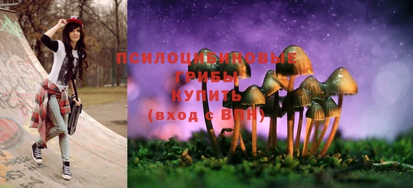 спиды Алексеевка