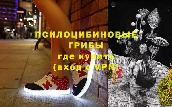 дмт Алзамай