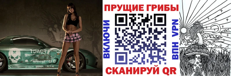 Галлюциногенные грибы Cubensis  mega ссылка  Ардатов 