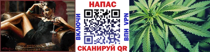 где купить наркотик  Ардатов  Каннабис конопля 